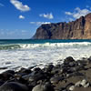 Canaries