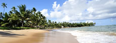 Br�sil