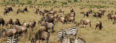 Kenya