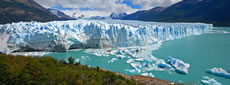 Argentine