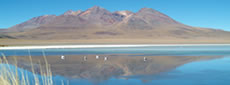 Bolivie