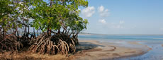 Mozambique