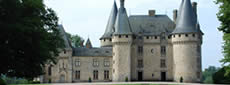Limousin