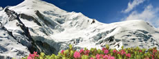 Rh�ne-Alpes