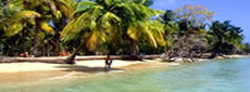 Martinique