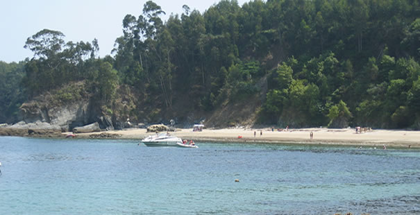 Sada