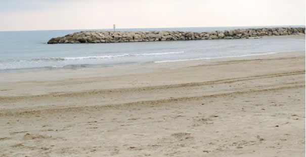 Cunit