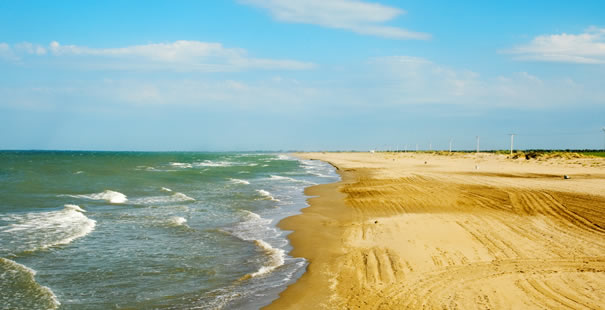 Delta Del Ebro