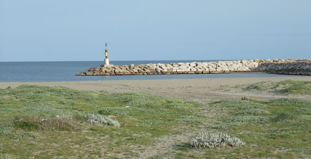 Sotogrande