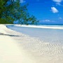 H�tels Gran Bahama
