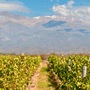 H�tels Mendoza