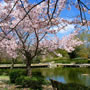 Kobe (Japon) Kobe (Japon)