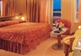Cat�gorie SS - Spa-Suite 