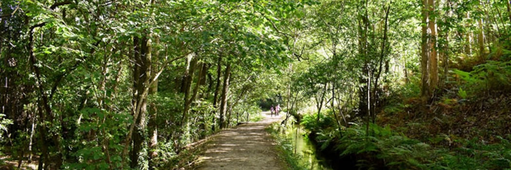 San Romao da Retorta
