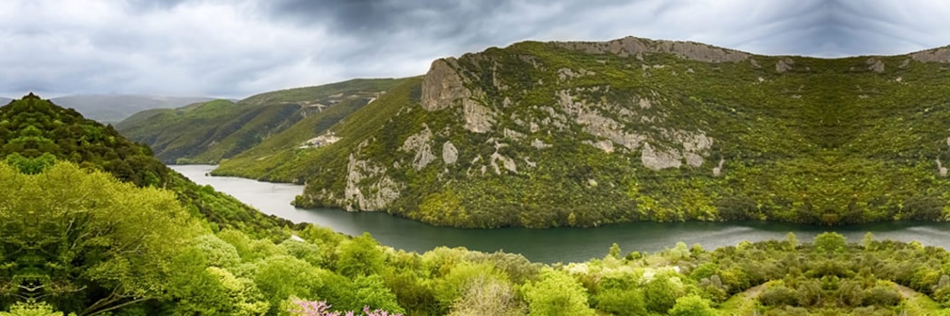 Veria