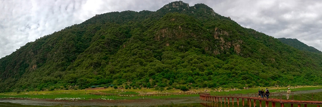 Parc National du lac Manyara