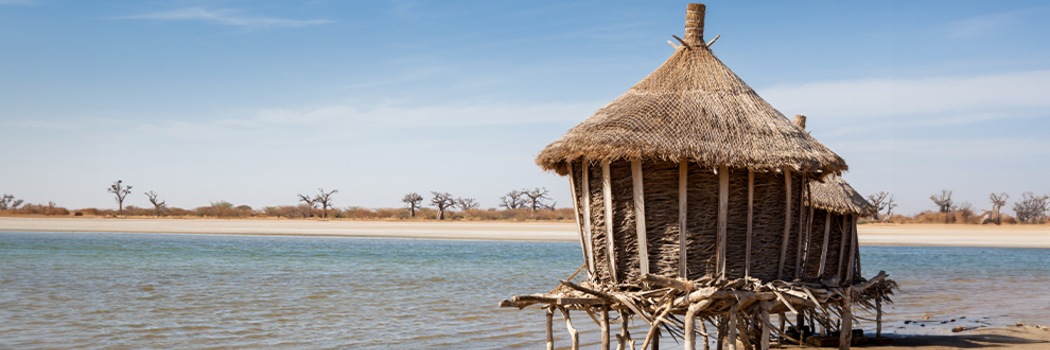 Saly