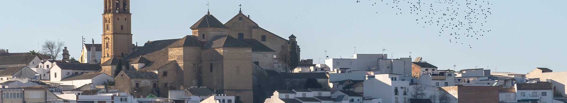 Offres de Vol + Hôtel **Montilla**