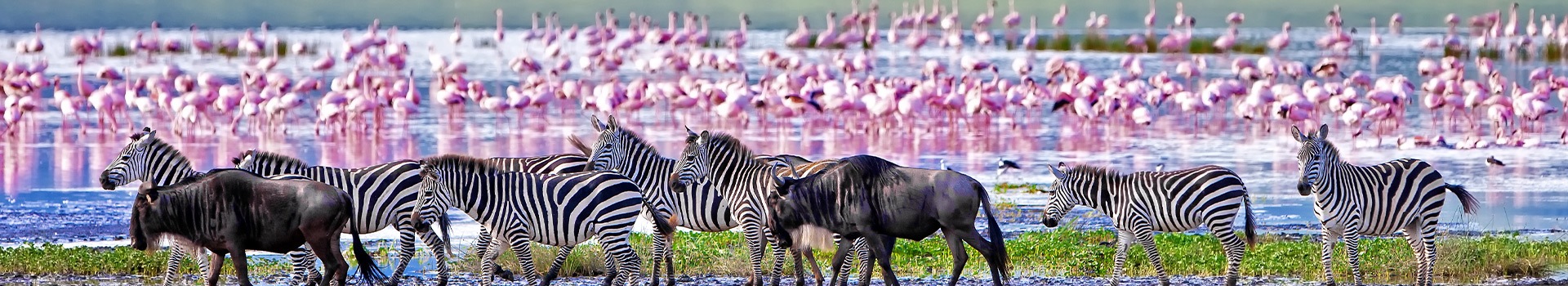Voyages Organisés Ngorongoro