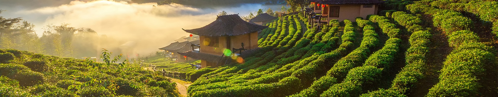 Nord de la Thaïlande avec Mae Hong Son et Maldives