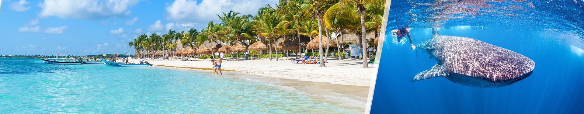 Cancún et Holbox