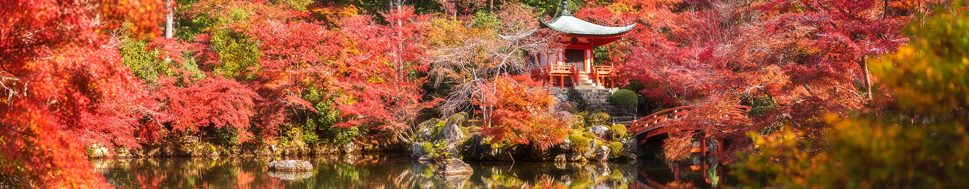 Tokyo, Takayama, Kyoto et Osaka