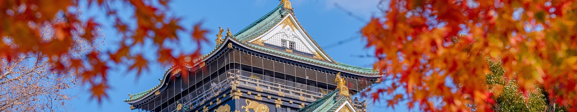 Osaka, Hakone, Tokyo et Krabi