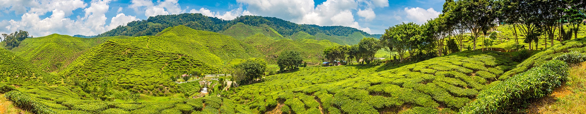 Route des Cameron Highlands à Malacca