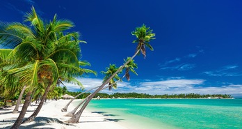 Îles Fidji Îles Fidji
