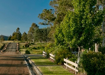 Tarraleah Tasmanie