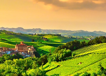 Barolo Coni