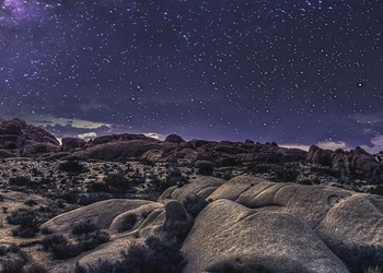 Joshua Tree