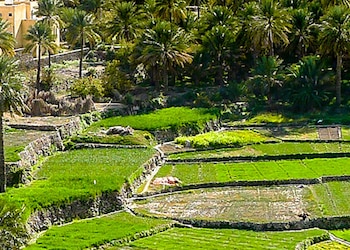 Bahla