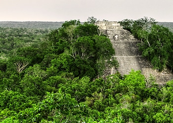 Reserva de la Biosfera Calakmul
