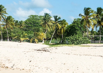 AnseBertrand