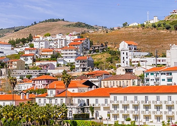 Pinhão