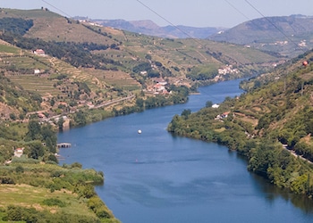 Mesao Frio