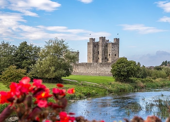 Trim