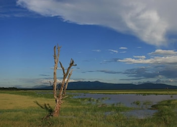 Parc National du lac Manyara