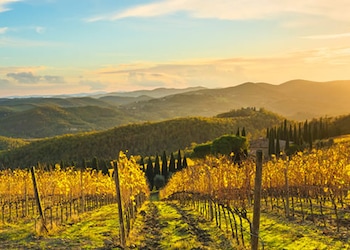 Radda in Chianti