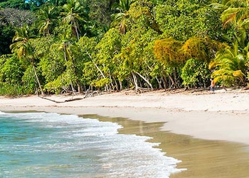 Puerto Limón