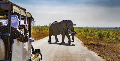 I Love Afrique du Sud 13J/10N - Du 04/04 au 24/10/26 I Love Afrique du Sud 13J/10N - Du 04/04 au 24/10/26