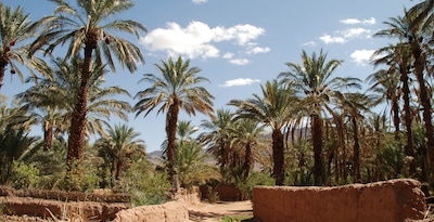 GRAND SUD ET KASBAH EN 3 ETOILES - 8J/7N GRAND SUD ET KASBAH EN 3 ETOILES - 8J/7N