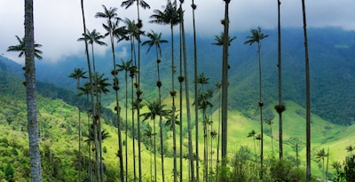 Merveilles de la Colombie - 10J/8N - Limité à 16 pers. - 2026 Merveilles de la Colombie - 10J/8N - Limité à 16 pers. - 2026