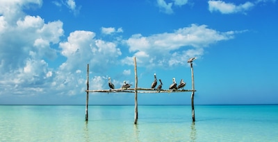 Cap sur le Yucatan ext Holbox 4* - 2025/2026 - 12J/10N - Limité à 20 pers. Cap sur le Yucatan ext Holbox 4* - 2025/2026 - 12J/10N - Limité à 20 pers.
