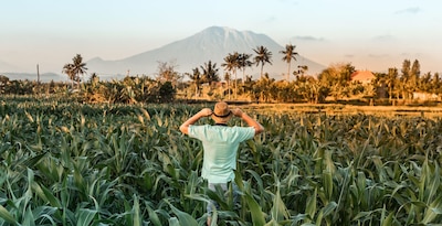 Bali en roue libre - 11J/08N - avec Chauffeur Bali en roue libre - 11J/08N - avec Chauffeur
