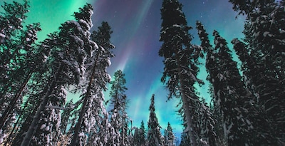 Séjour multi activités à Suomu - hôtel Suomutunturi 5 jours/ 4 nuits Séjour multi activités à Suomu - hôtel Suomutunturi 5 jours/ 4 nuits
