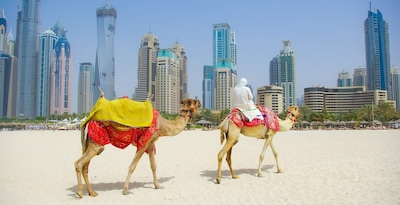 Légendes des Emirats 2026 - 6J/5N - Limité à 16 pers. Légendes des Emirats 2026 - 6J/5N - Limité à 16 pers.