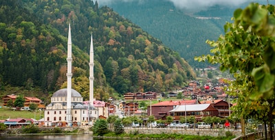 Trabzon intl