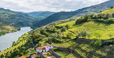 Route par la Région de Minho et la Vallée du Douro